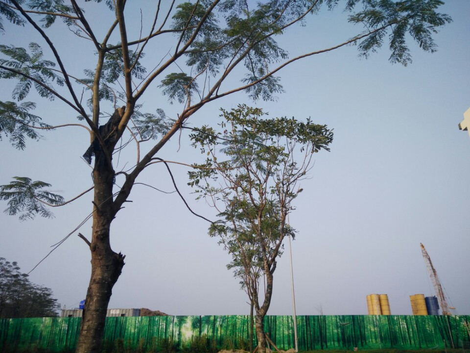 Hình ảnh phía ngoài công trường xây dựng The ZEN Residence Hình ảnh phía ngoài công trường xây dựng The ZEN Residence